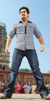 NTR Photos in Dammu